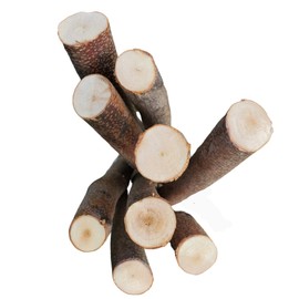 Tin Roof Treasure 2ft Raw Birch Log Assortment, 8pc for Wood Crafts and Decor