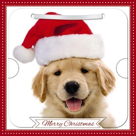 Carte Blanche Photographic 3D Lenticular Merry Christmas Single Greeting Card with Detachable Keepsake to Treasure - 6" x 6" (155 x 155mm) - Eco-Friendly (Dog in Santa Hat)