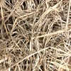 Momarsh InvisiGrass Bundle Packs | Blind Grass Perfect Concealment for
