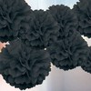 CC wonderland zone 12Pcs Black Hanging Tissue Paper Pom Poms
