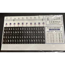 DRMFSLS Kids Piano Keyboard Stickers for 88/61/54/49/37 Key. Flag Themed Bold