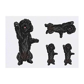 4 x 'Black Cockapoo' Temporary Tattoos - Water Resistant, Skin-Safe, Non-Toxic Transfers, Mixed Sizes (TO00045711)