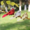 Imitation Feather Bird Multipurpose Fade Resistant Fake Feather Bird Ornament