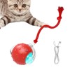 Interactive Cat Ball Toy | Light Up Chirping Cat Interactive