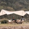 Camping Racks Aluminum Alloy Folding Triangular Shelf Collapsible Hanging Organizer