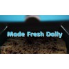ANDY ANAND CHOCOLATIER Turtle Cheesecake 9" with Chocolate Chip &