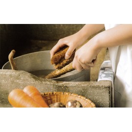 Turtle Scrubber no. 3