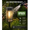 Solar Pathway Lights Outdoor,Bright Solar Lights for Outside, Waterproof Auto
