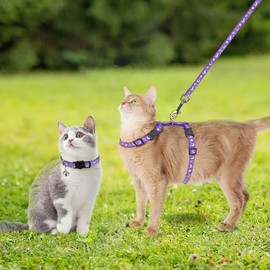 Juego de arnés para gatos con correa y collar, a prueba de escapes, arnés ajustable para gatos con patrón de estrella y luna que brilla en la...      