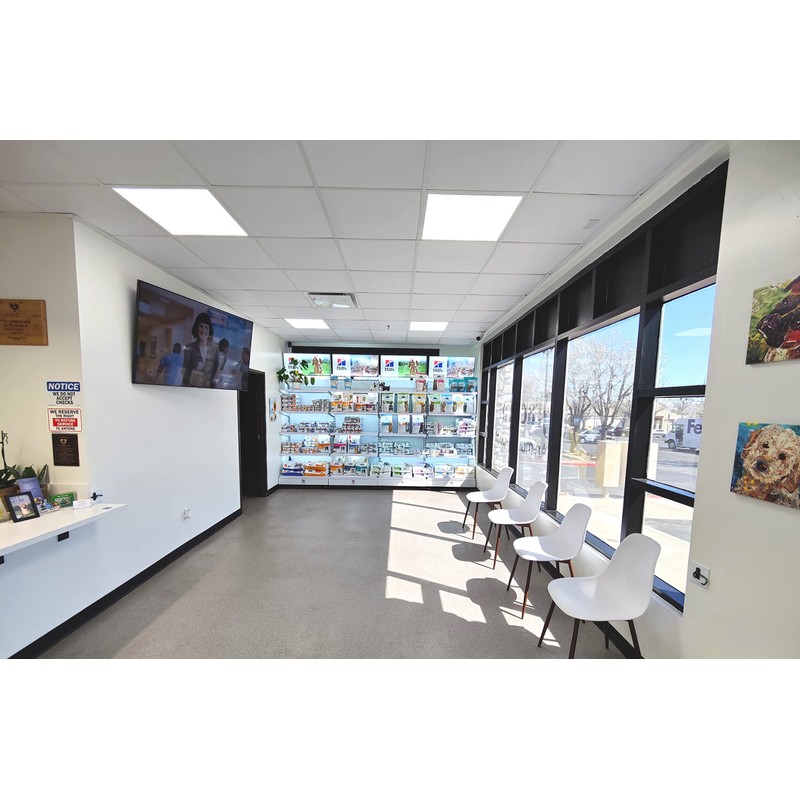 uDecor DuraClean Smooth White 2ft x 2ft Vinyl Drop Ceiling