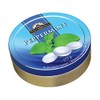 Waterbridge Travel Tin Peppermint 175G