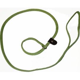 Lone Wolf Slip Lead with Leash and Collar for Pets, 1/4 by 6-Feet, Lime Green