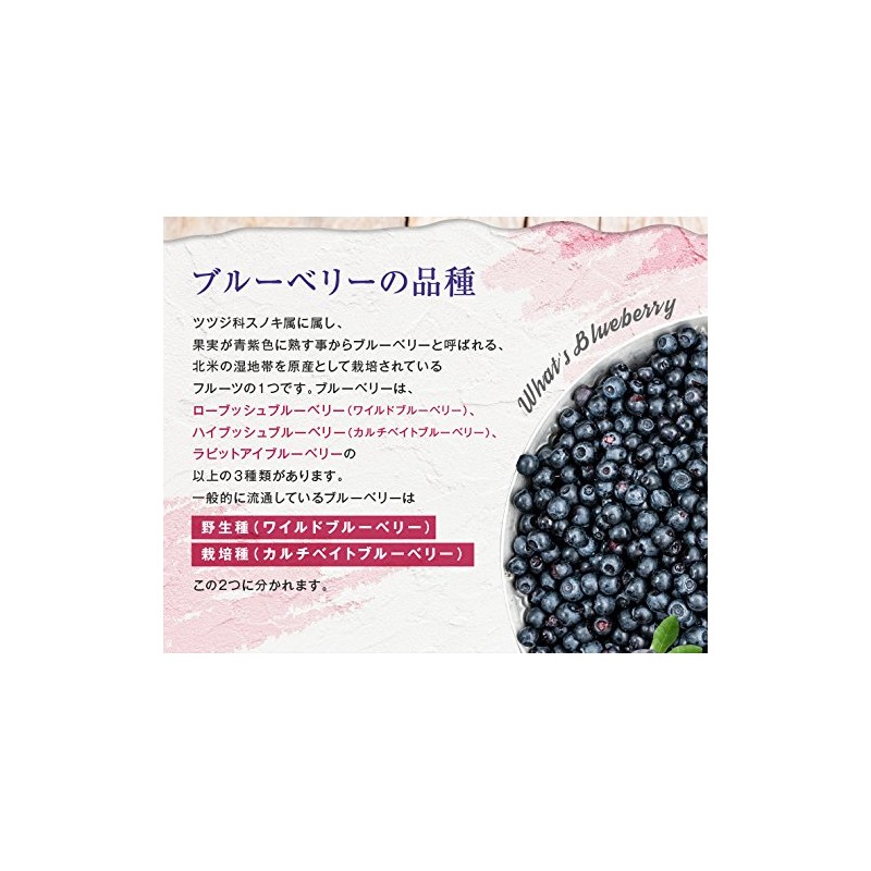 Non-Oil, Wild Blueberry 100 Ameyoko Otsuya Commercial Nuts, Dried Fruits,