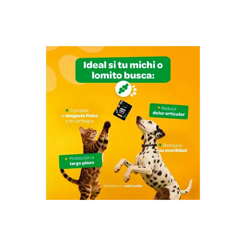 Suplemento B Life Joint Force Colágeno Cápsula 416g