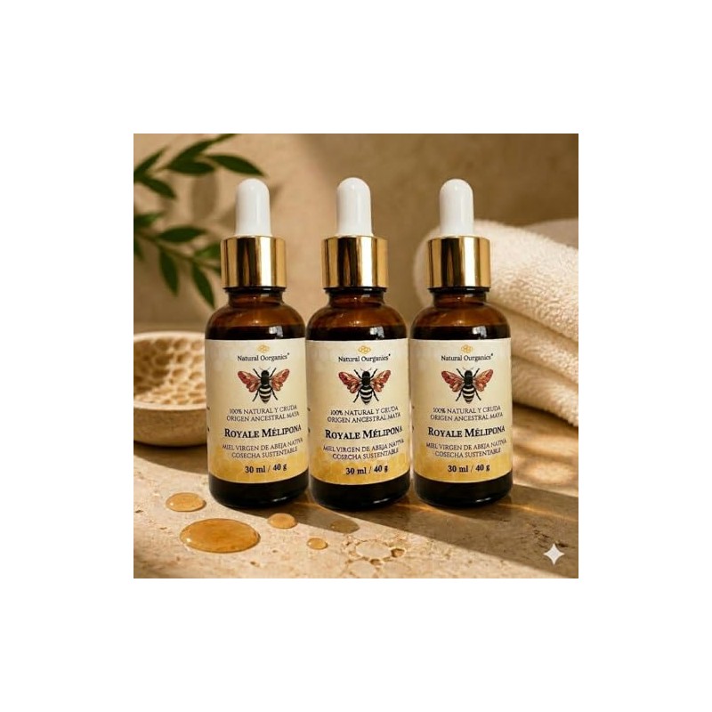 Pack Miel Melipona Pura 100 Natural Cruda Royale Mélipona Ourganics