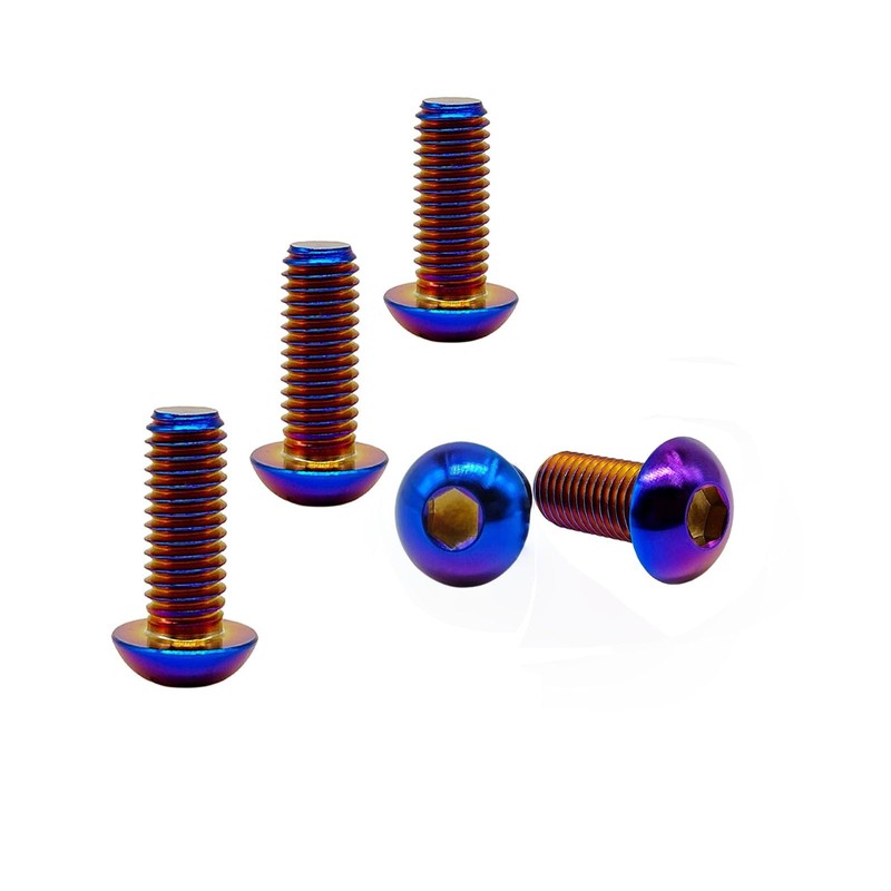 RISON Pack of 5 Titanium Rounded Head Screws with Hexagon