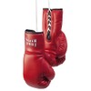 Paffen Sport Star Promo Deko & Souvenir Boxhandschuhe in rot