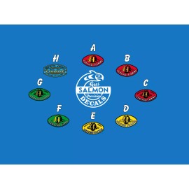 Unbranded Vintage Fiamme Rim Water Slide Decals for yor Campagnolo Ride - E