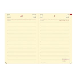 Daily 24 VZ Silk Marine: Appointment Calendar Table Format