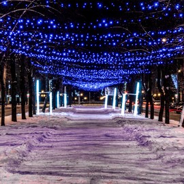 Flechllary Solar String Lights for Outside, 39Ft 100 LED Solar String Lights Outdoor with 8 Modes，Solar Lights for Outside Waterproof for Yard, Fence,Balcony, Party,Christmas Tree Decorations (Blue)