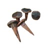 Solid Copper Nails, Lot of 6