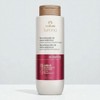 Shampoo Reestructurante Cabello Quimicamente Dañado 300ml Natura Lumina