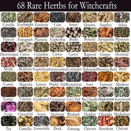 Witchcraft Supplies with Crystal Balls, Wiccan Supplies and Tools for Altar Wicca, Apothecary Starter Kit, Witch Kit for Beginner and Professionals, Include 48 Dried Herbs for Witch Craft (Basic Kit)