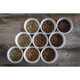 Bodhi Leaf - Guatemala Quetzal, Specialty Arabica, Fresh Roasted Coffee Beans (Whole Bean, 5 LB)