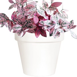 Youngever 6 Pack 7.5 Inch Plastic Planters Indoor Flower Plant Pots, Modern Decorative Gardening Pot with Drainage for All House Plants, Flowers, Herbs (Classic)