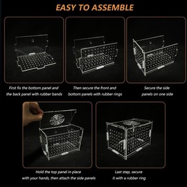Fish Breeding Box, Clear Acrylic Fish Isolation Box Suspended Breeder Box for Fish Tank with Suction Cups, Aquarium Acclimatization Incubator for Baby Fish, Shrimp, Clown Fish and Guppies (10*10*20)