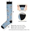 Wusikd Koala Bears Compression Socks for Women and Men Circulation