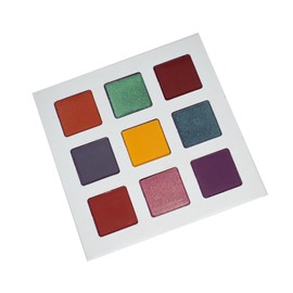 Lenphor Eye Shadow 9 in 1 Palette - Picnic Spot Matte Shimmer Glitter Pressed | All Highly Pigmented Blending Powder with Gorgeous Pearls 10.8 gm