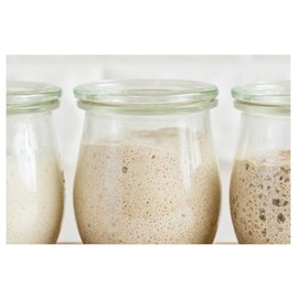 Ethiopian Teff Sourdough Starter Culture (2)