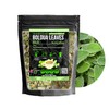 Alebrixes | Boldua Leaves Herbal Tea (4oz)| Premium Quality Whole