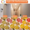 GU10 Halogen Bulb 120v 25W Halogen Light Bulbs, 2800k Warm