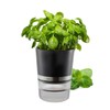GEFU Botanico Herb Pot Silver/Black One Size