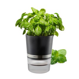 GEFU Botanico Herb Pot Silver/Black One Size