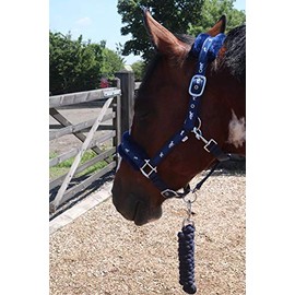 Equipride Horse Print Faux Lined Nylon Headcollars with Matching Lead Rope Navy (Full)