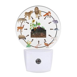 Uanvaha Animal Zoo Night Light Deer Lion Fox Bird Flowers Plant Food Chain Night Lights Plug into Wall for Boys Girls, Led Lamp for Stairway/Hallway/Bedroom 0.5W Nightlight Sleep Friendly