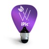 Woodees WMIPPU iPic Multi Purpose Pick Stylus - Purple