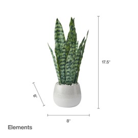 Elements Artificial Snake Plant in Ceramic Pot, Realistic Look and Feel