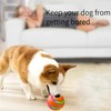 morhandisn Interactive Dog Toys Dog Ball, Smart Automatic Active Rolling