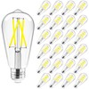 Hizashi Vintage LED Light Bulb Dimmable, 6W Equivalent 60W, 5000k