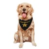 Costume Accessory Set Pet Dog Bandana,Costume Accessory Set Pet,for Halloween