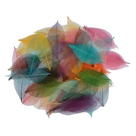 100 Pcs Mixed Colors Skeleton Leaves Rubber Tree Natural Scrapbook Craft Card Wedding Large Leaves