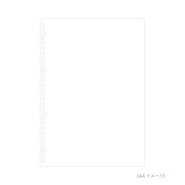 Maruman L1306H A5 Loose Leaf Plain, 100 Sheets