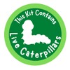 Insect Lore 2 Cups of Caterpillars Basic | 10 Live
