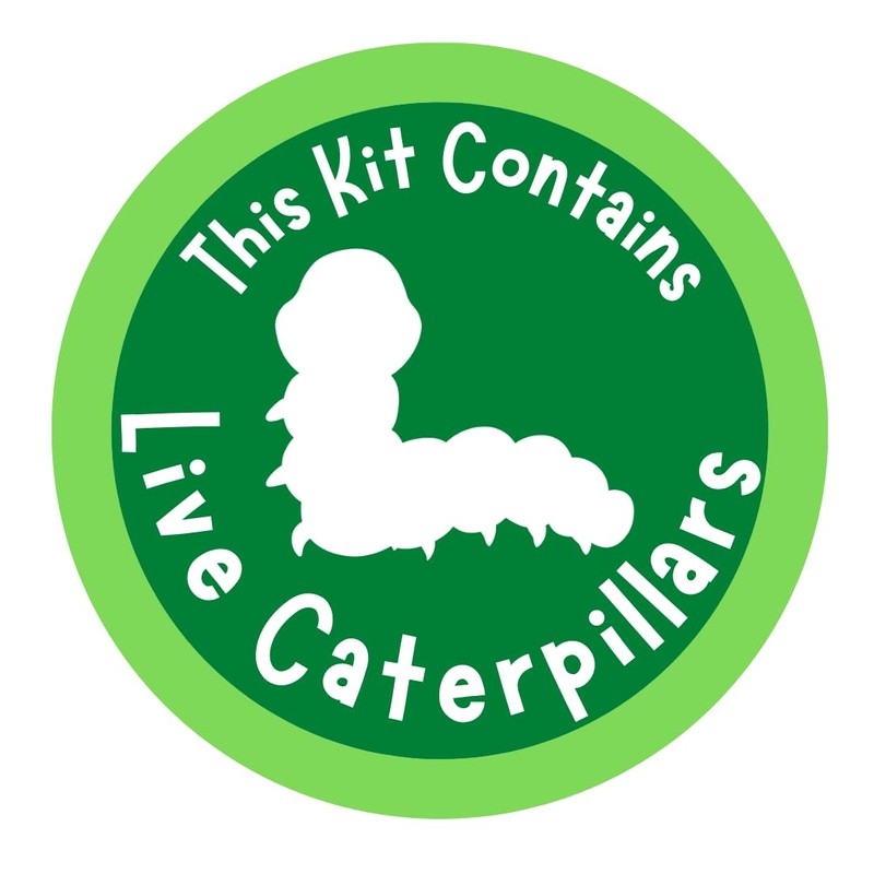 Insect Lore 2 Cups of Caterpillars Basic | 10 Live
