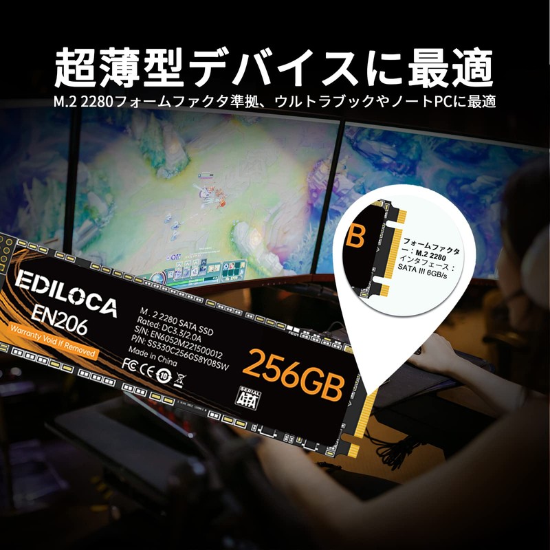 EDILOCA EN206 SSD 256GB M.2 2280 with 3D TLC NAND