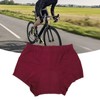Padded Bike Shorts Breathable Quick Drying Elastic Silicone 3D Padding